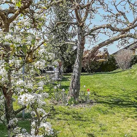 Ferienwohnung Am Hasenweg روهستورف المظهر الخارجي الصورة